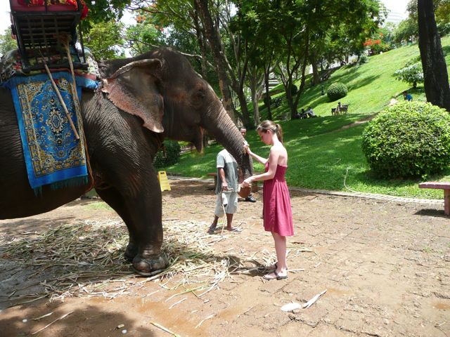 Protégé : Saison des pluies