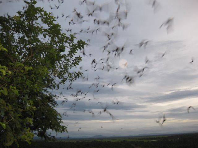 Protégé : Alors Mais qu’est-ce quoi donc qui fait si peur à ma Bisounette ?
