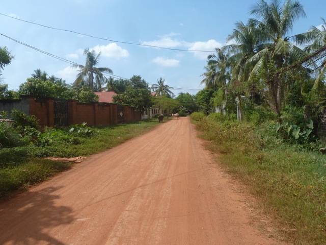 Protégé : Voilà, notre Bisounette est repartie hier soir.