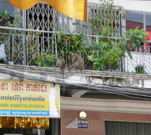 Protégé : La vie Phnom Penhoise